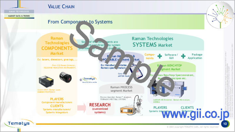 サンプル1：ラマン技術：技術、市場動向、顧客ニーズ（2023年）