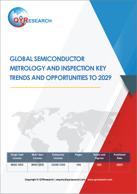 表紙：半導体計測・検査の世界市場 - 主要動向と機会（～2029年）