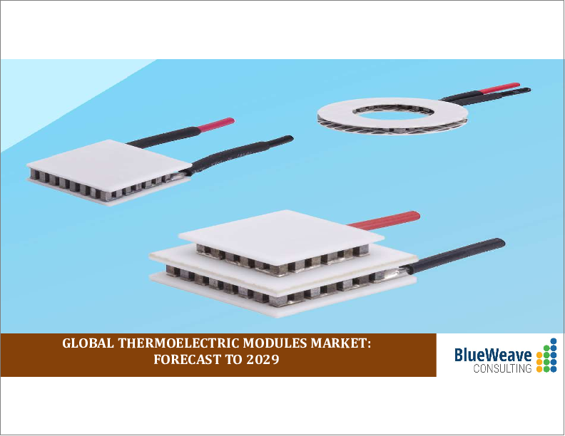 表紙：熱電モジュール市場：世界の市場規模、シェア、動向分析、機会、予測レポート、2019-2029年