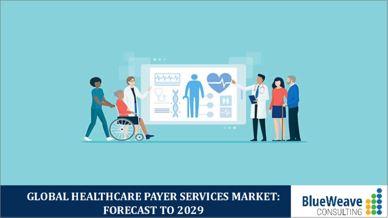 表紙：ヘルスケアペイヤーサービス市場- 世界の市場規模、シェア、動向分析、機会、予測レポート、2019-2029年