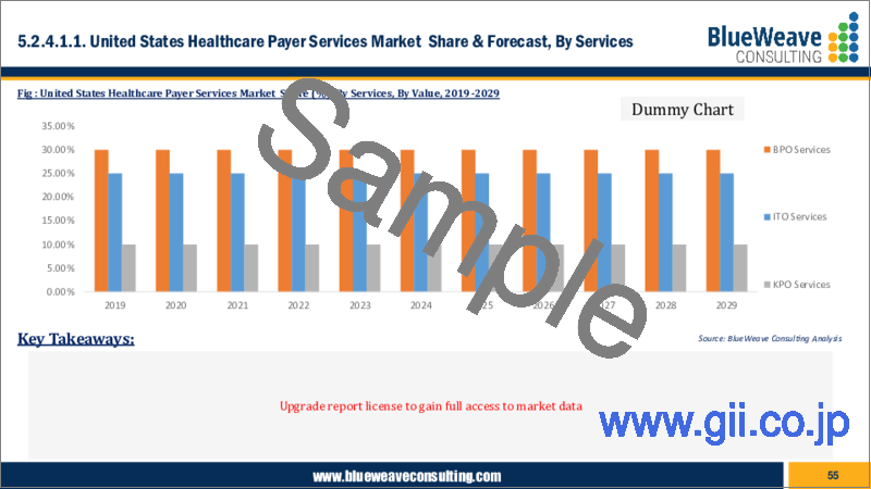 サンプル2：ヘルスケアペイヤーサービス市場- 世界の市場規模、シェア、動向分析、機会、予測レポート、2019-2029年