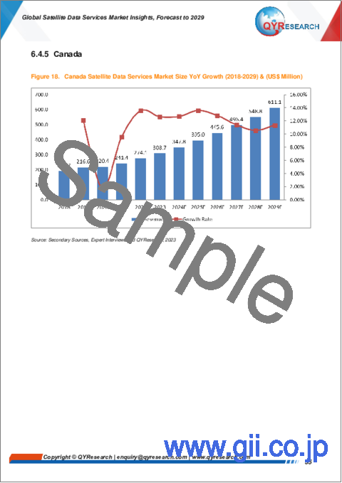 サンプル2：衛星データサービスの世界市場：2029年までの予測