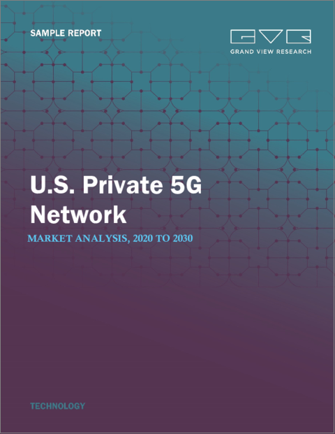 表紙：米国のプライベート5Gネットワークの市場規模・シェア・動向分析レポート：コンポーネント別、周波数別、スペクトラム別、業種別、セグメント予測、2023年～2030年