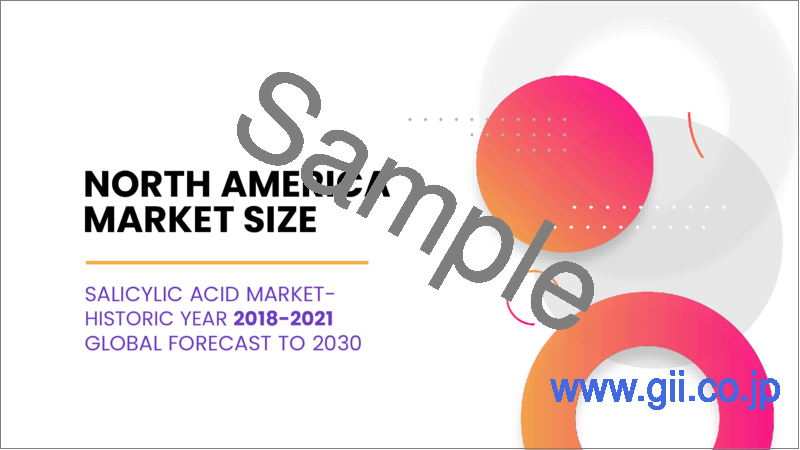 サンプル2：サリチル酸の世界市場の規模、シェア、成長分析：用途別 - 産業予測（2023年～2030年）