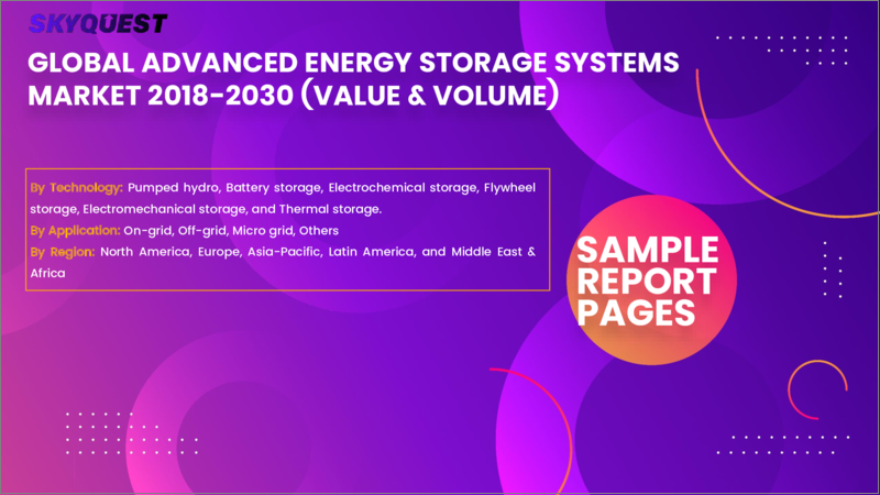 表紙：先進エネルギー貯蔵システムの世界市場の規模、シェア、成長分析：技術別、用途別 - 産業予測（2023年～2030年）
