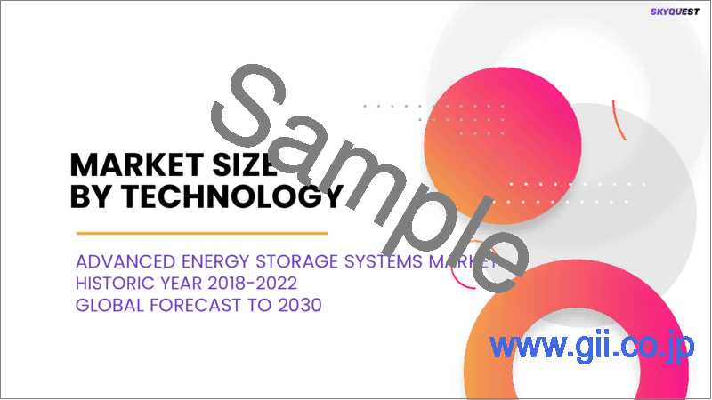 サンプル1：先進エネルギー貯蔵システムの世界市場の規模、シェア、成長分析：技術別、用途別 - 産業予測（2023年～2030年）