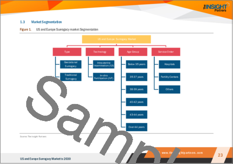 サンプル1：米国と欧州の代理出産市場の2030年までの予測-タイプ、技術、年齢層、サービス別：国別分析