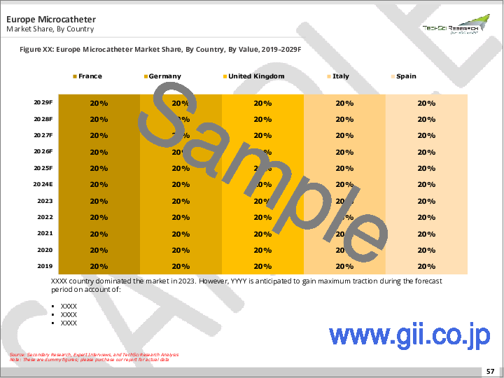 サンプル1：マイクロカテーテル市場- 世界の産業規模、シェア、動向、競合、機会、予測、2018-2028年