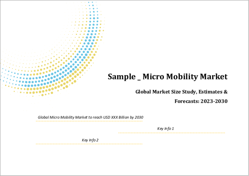 表紙：マイクロモビリティの世界市場規模調査・予測、推進タイプ別、車両タイプ別、シェアリングタイプ別、年齢層別、地域別分析、2023-2030年