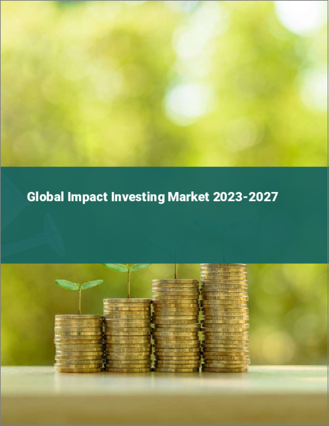 表紙：世界のインパクト投資市場