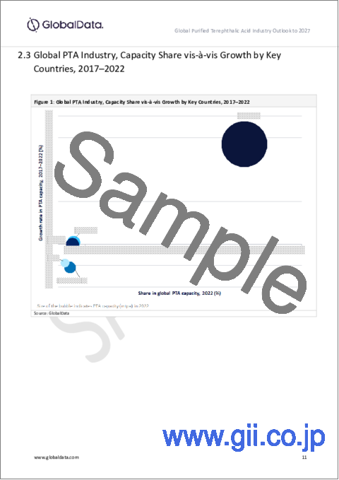 サンプル2：高純度テレフタル酸（PTA）業界：設備容量と設備投資（CapEx）予測、地域別・国別（稼働中プラント、計画・発表済みプロジェクトの詳細）