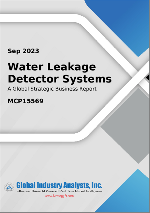 表紙：漏水検知システムの世界市場