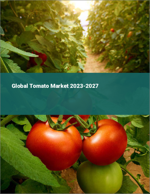 表紙：トマトの世界市場 2023-2027