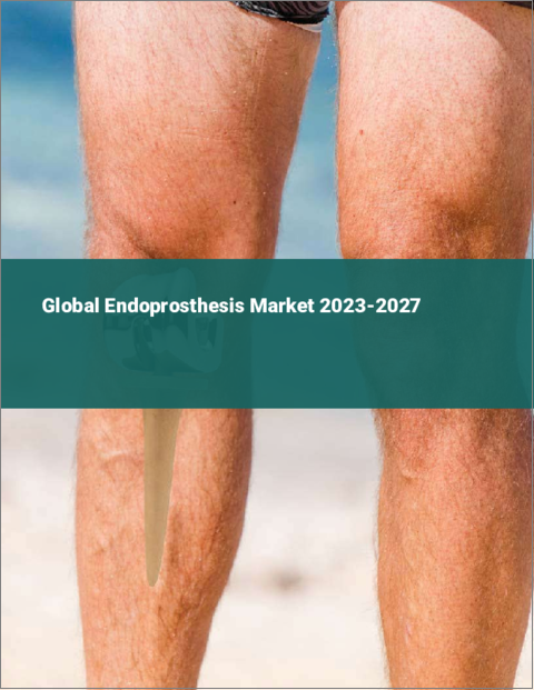 表紙：人工内膜の世界市場 2023-2027