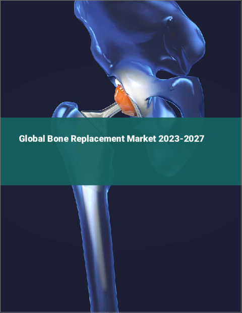 表紙：骨置換の世界市場 2023-2027