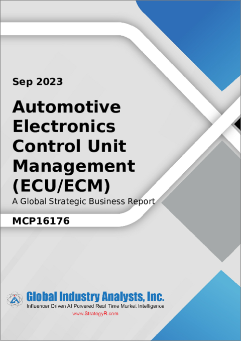 表紙：自動車用電子制御ユニット管理（ECU/ECM）の世界市場