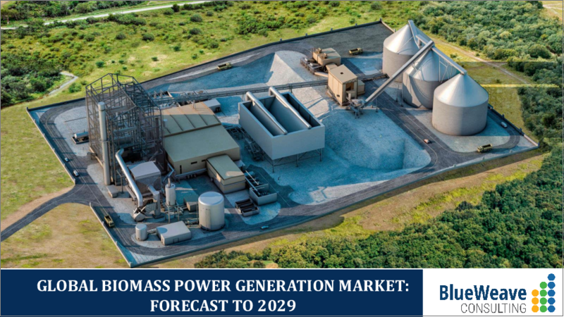 表紙：バイオマス発電市場- 世界の市場規模、シェア、動向分析、機会、予測レポート、2019-2029年