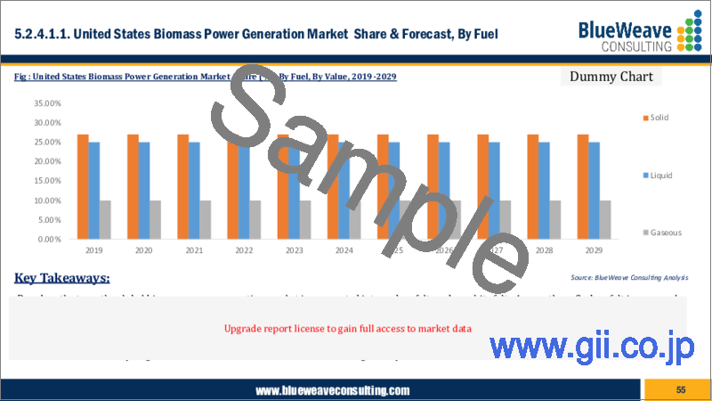 サンプル2：バイオマス発電市場- 世界の市場規模、シェア、動向分析、機会、予測レポート、2019-2029年