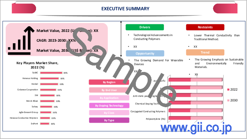 サンプル2：導電性ポリマーの世界市場-2023年～2030年
