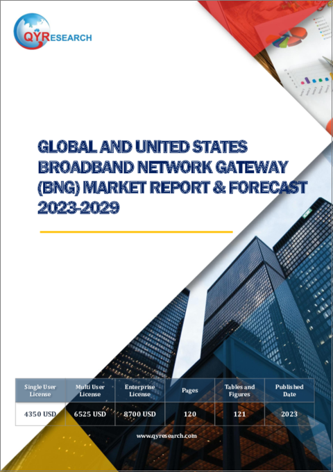 表紙：世界および米国のブロードバンドネットワークゲートウェイ (BNG) 市場：2023-2029年