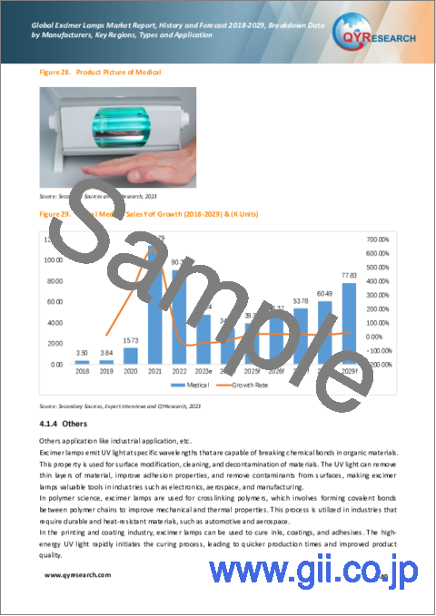 サンプル2：エキシマランプの世界市場：2018-2029年