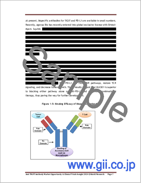 サンプル1：抗TIGIT抗体市場：市場の機会と臨床試験動向（2024年）