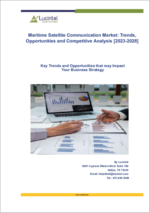 表紙：海上衛星通信市場：動向、機会、競合分析【2023-2028年】