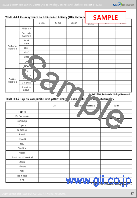 サンプル1：リチウムイオン電池の電解質：技術動向と市場予測 (2030年まで)