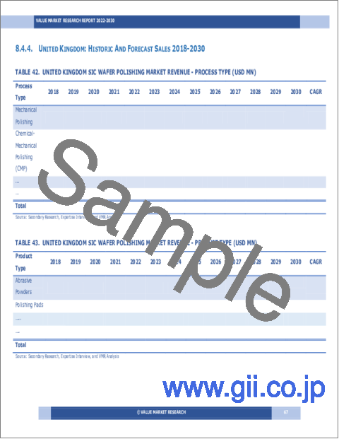 サンプル2：SiCウエハー研磨の世界市場調査レポート：産業分析、規模、シェア、成長、動向、2023～2030年の予測