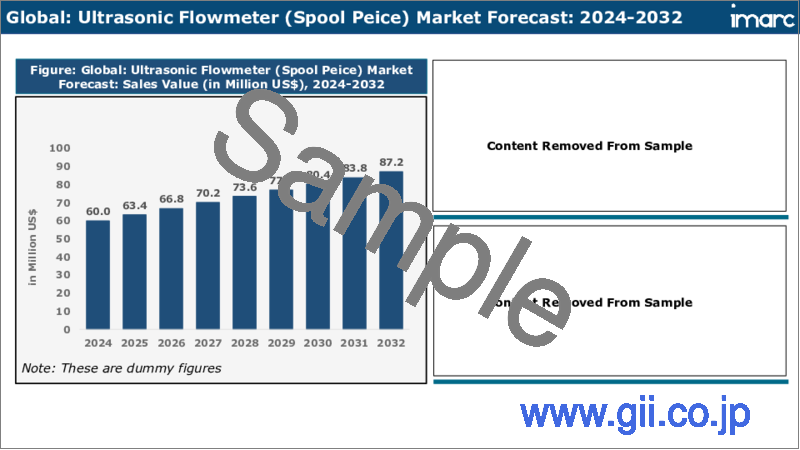 サンプル2：超音波流量計市場：世界の産業動向、シェア、市場規模、成長、機会、2023-2028年予測
