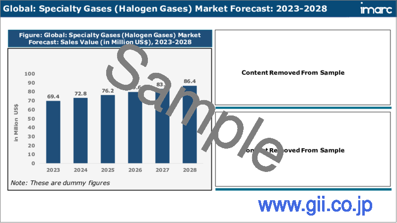 サンプル2：特殊ガス市場：世界の産業動向、シェア、規模、成長、機会、2023-2028年予測