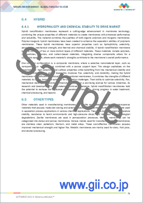 サンプル2：ナノろ過膜の世界市場：タイプ別、モジュール別、用途別、地域別 - 予測（～2028年）