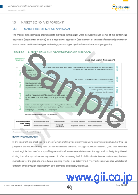 サンプル1：がん/腫瘍プロファイリング市場：バイオマーカータイプ別（遺伝子、タンパク質）技術別（NGS、PCR、ISH、IHC）がんタイプ別（乳がん、肺がん、大腸がん、前立腺がん、白血病）アプリケーション別（臨床、研究）エンドユーザー別（製薬、学術、CRO）-2030年までの世界予測