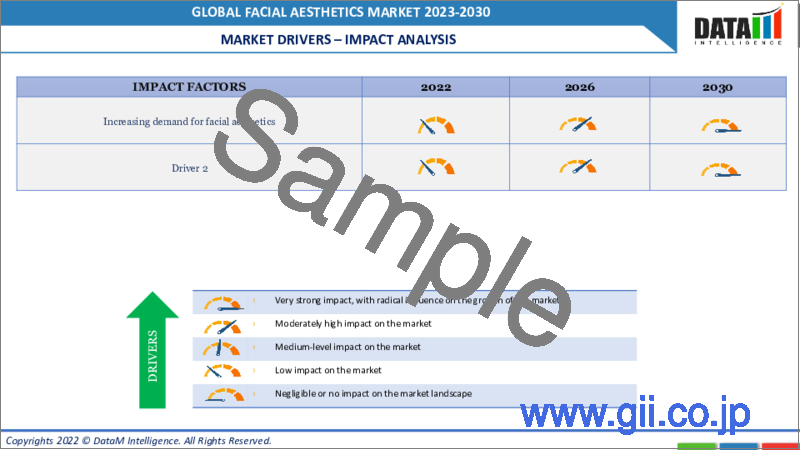 サンプル2：フェイシャルエステの世界市場-2023年～2030年