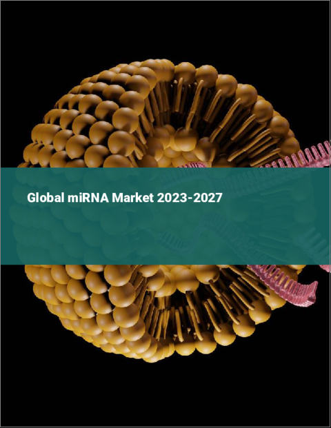 表紙：世界のmiRNA市場2023-2027