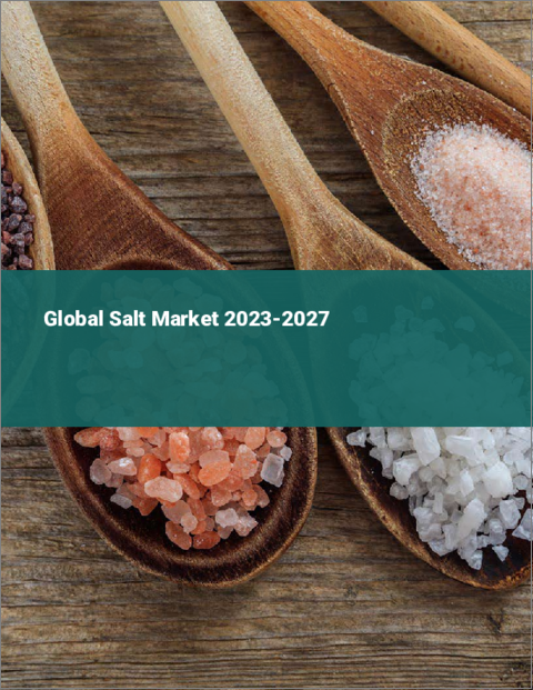 表紙：塩の世界市場 2023-2027