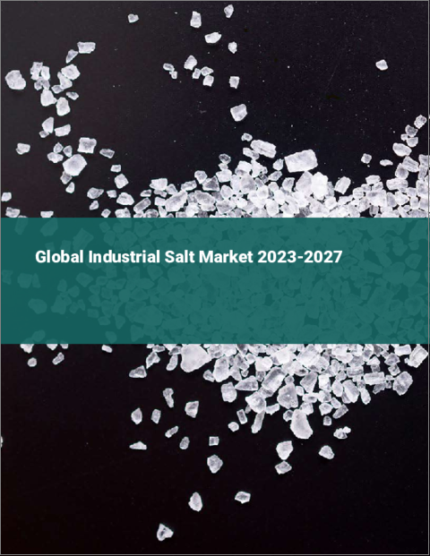 表紙：工業塩の世界市場 2023-2027