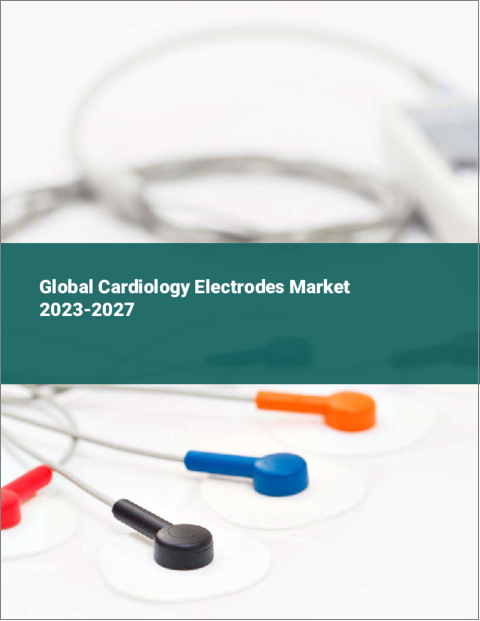 表紙：心臓病用電極の世界市場 2023-2027