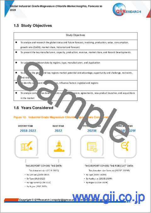 サンプル1：工業グレード塩化マグネシウムの世界市場：2029年までの予測