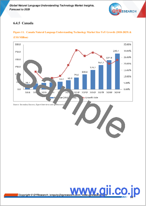 サンプル2：自然言語理解技術の世界市場：2029年までの予測