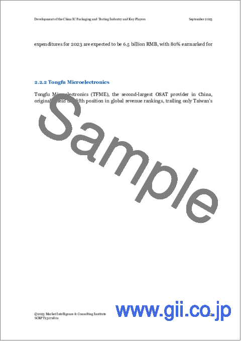 サンプル1：中国のICパッケージ・検査産業の動向と主要企業