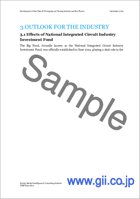 サンプル2：中国のICパッケージ・検査産業の動向と主要企業