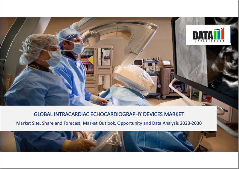 表紙：心腔内エコー装置の世界市場-2023年～2030年