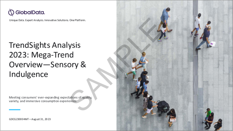表紙：センサリー・インダルジェンス - Consumer TrendSights Analysis（2023年）