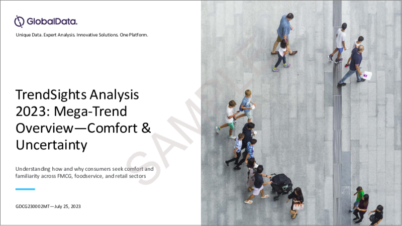 表紙：快適さ・不確実性 - Consumer TrendSights Analysis（2023年）