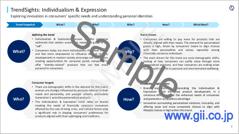 サンプル2：個人主義と表現- 消費者動向分析、2023年
