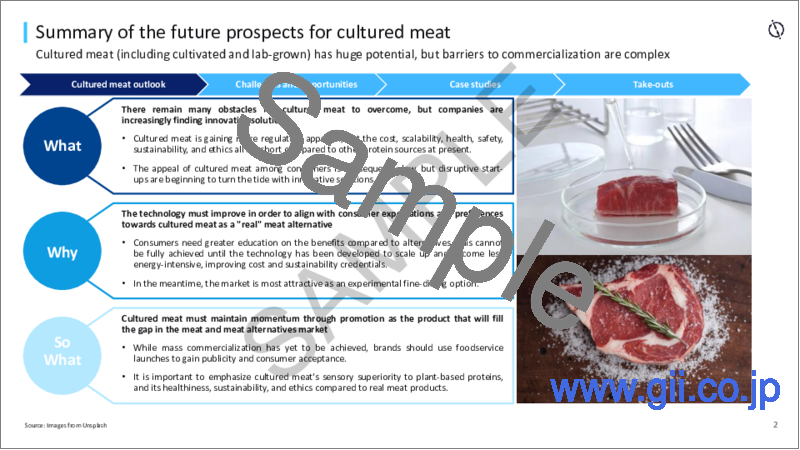 サンプル1：培養肉の将来の見通し - 規制当局の承認、課題、機会、主要企業、ケーススタディ