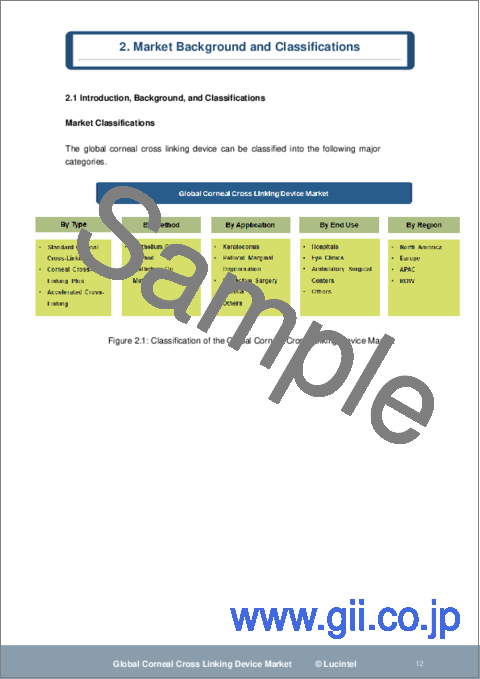 サンプル1：角膜クロスリンキング装置市場レポート：2030年までの動向、予測、競合分析