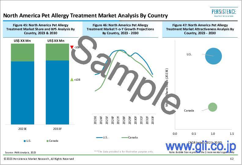 サンプル2：ペットアレルギー治療の市場調査：抗生物質の販売による大幅な収益創出