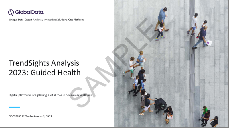 表紙：ガイド付き健康法- 消費者動向分析、2023年